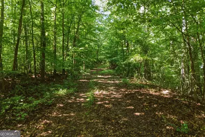3120 Highway 229, Mansfield, GA 30055 - Photo 5