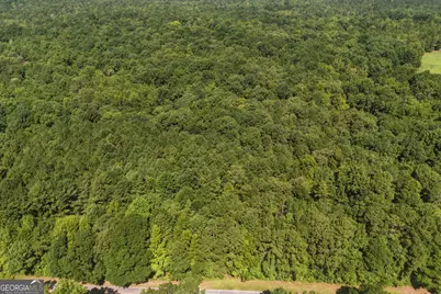 3120 Highway 229, Mansfield, GA 30055 - Photo 3