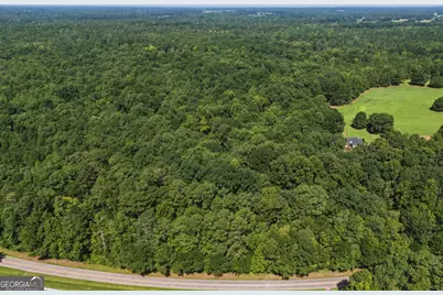 3120 Highway 229, Mansfield, GA 30055 - Photo 1