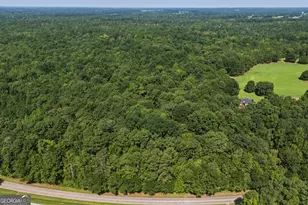 3140 Hwy 229, Mansfield, GA 30055 - Photo 1