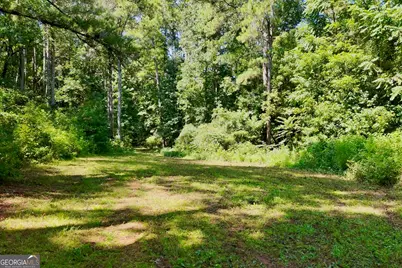 3140 Highway 229, Mansfield, GA 30055 - Photo 17