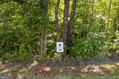Lot 26 Staurolite Mountain Road, Blue Ridge, GA 30513 - Photo 3