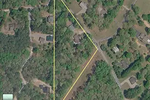 1533 John Smith Rd E, Blairsville, GA 30512 - Photo 47