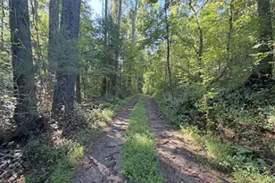 505 Hank Fry Rd, Clarkesville, GA 30523 - Photo 1