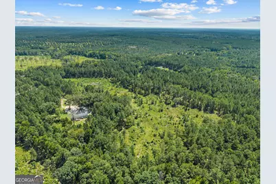 3191 Syrup Mill Crossing, Greensboro, GA 30642 - Photo 7