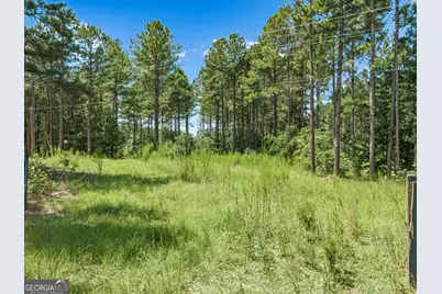 3191 Syrup Mill Crossing, Greensboro, GA 30642 - Photo 17