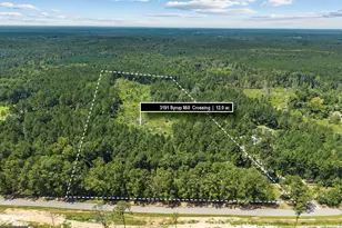 3191 Syrup Mill Crossing, Greensboro, GA 30642 - Photo 1