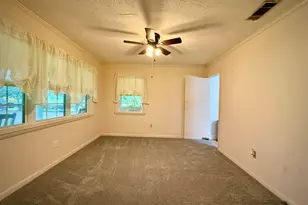 263 Broxton Hwy, Hazlehurst, GA 31539 - Photo 37