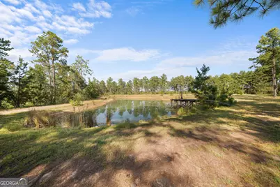 435 Canoochee Bypass, Midville, GA 30441 - Photo 45