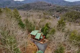 131 Toccoa Overlook Ln, Blue Ridge, GA 30513 - Photo 45