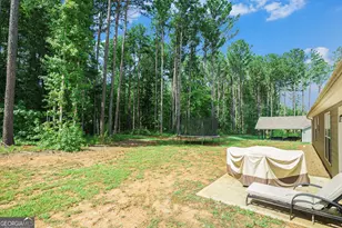 231 Camp Ct, Bethlehem, GA 30620 - Photo 29