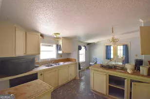 269 N Dorsey Rd, Hampton, GA 30228 - Photo 35