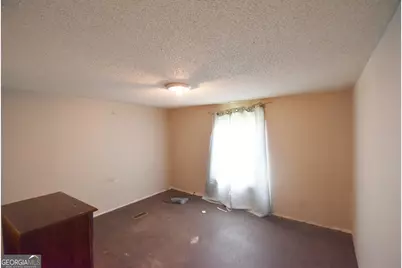269 N Dorsey Road, Hampton, GA 30228 - Photo 39