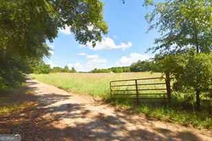 269 N Dorsey Rd, Hampton, GA 30228 - Photo 3