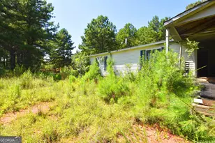 269 N Dorsey Rd, Hampton, GA 30228 - Photo 47