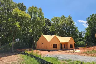 Lot 3 Clemit Harris Rd, Newnan, GA 30263 - Photo 3
