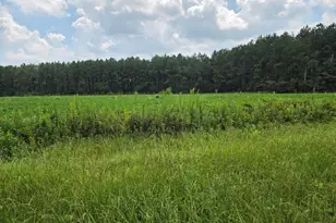 0 Roy and Blanche Hulett Rd, Fitzgerald, GA 31750 - Photo 1