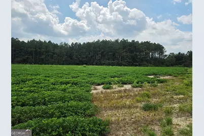 0 Roy and Blanche Hulett Road #7, Fitzgerald, GA 31750 - Photo 3