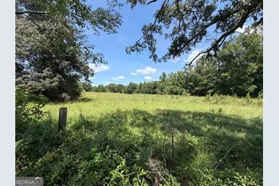 7.65 Acres Baker Rd, Shiloh, GA 31826 - Photo 19