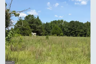 7.65 Acres Baker Rd, Shiloh, GA 31826 - Photo 13