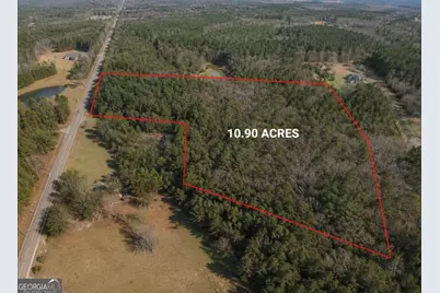0 Lee Thompson Road, Moreland, GA 30259 - Photo 5