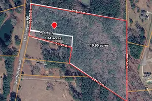 0 Lee Thompson Rd, Moreland, GA 30259 - Photo 1