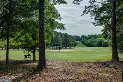 37 Forest Point, Newnan, GA 30265 - Photo 53