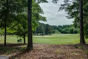 37 Forest Point, Newnan, GA 30265 - Photo 53