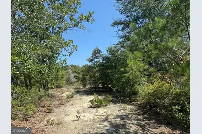 39.317 Ronnie Road, Buena Vista, GA 31803 - Photo 3