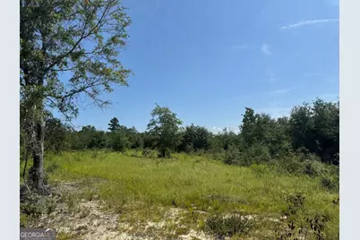 39.317 Ronnie Road, Buena Vista, GA 31803 - Photo 7