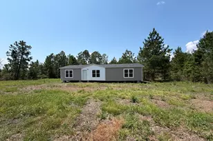 72 McLean Rd, Lumber City, GA 31549 - Photo 5