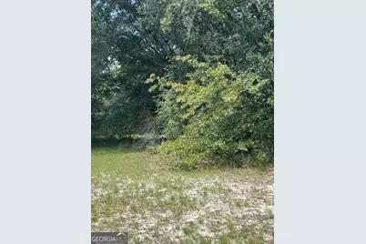 0 Lee Road, Pembroke, GA 31321 - Photo 3
