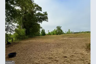 1525 Telfair Line Road, Rhine, GA 31077 - Photo 53