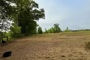 1525 Telfair Line Rd, Rhine, GA 31077 - Photo 53