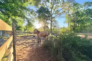 1525 Telfair Line Rd, Rhine, GA 31077 - Photo 51