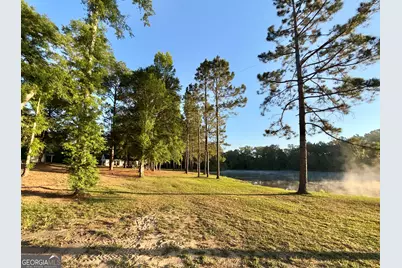 1525 Telfair Line Road, Rhine, GA 31077 - Photo 57