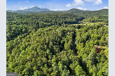 578 Highway 356, Helen, GA 30545 - Photo 47