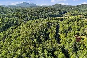 578 Hwy 356, Helen, GA 30545 - Photo 47