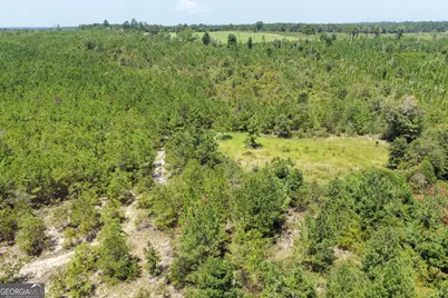 19.521 Ac Herman Bell Road, Mauk, GA 31058 - Photo 3