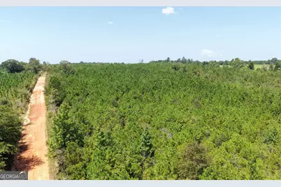 19.521 Ac Herman Bell Road, Mauk, GA 31058 - Photo 5