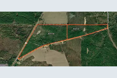 19.521 Ac Herman Bell Road, Mauk, GA 31058 - Photo 1
