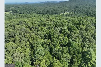 0 Popular Drive #LOT 4, Blairsville, GA 30512 - Photo 17