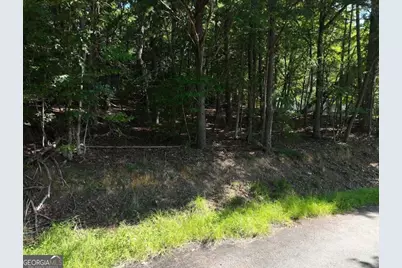 0 Popular Drive #LOT 4, Blairsville, GA 30512 - Photo 5