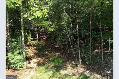 0 Popular Drive #LOT 4, Blairsville, GA 30512 - Photo 7