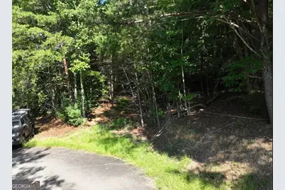 0 Popular Drive #LOT 4, Blairsville, GA 30512 - Photo 11