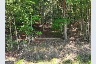 0 Popular Drive #LOT 4, Blairsville, GA 30512 - Photo 9