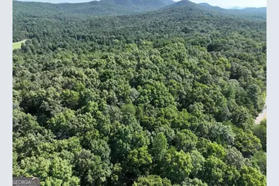 0 Popular Drive #LOT 4, Blairsville, GA 30512 - Photo 19