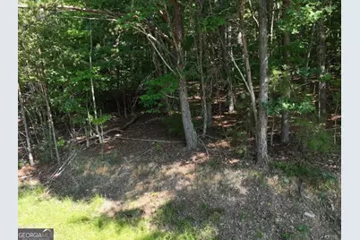 0 Popular Drive #LOT 4, Blairsville, GA 30512 - Photo 13