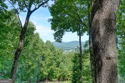 854 Frog Pond Road, Hiawassee, GA 30546 - Photo 35