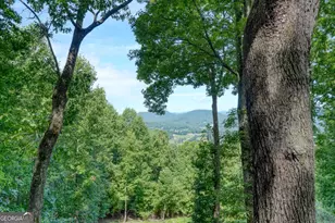 854 Frog Pond Rd, Hiawassee, GA 30546 - Photo 35